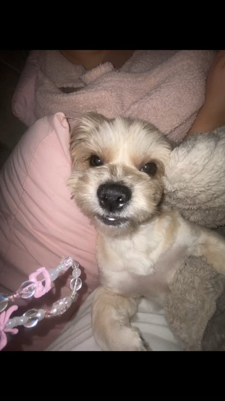 Ma petite Lulu🥹