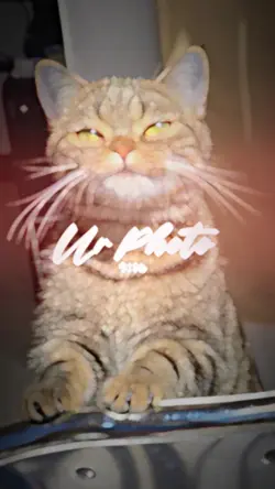 กำลังฮิตในTik Tok