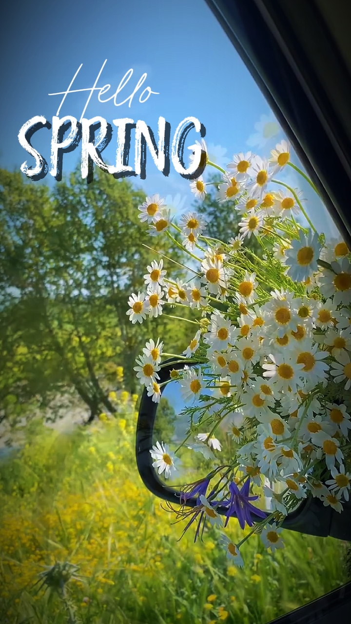 HOLA PRIMAVERA