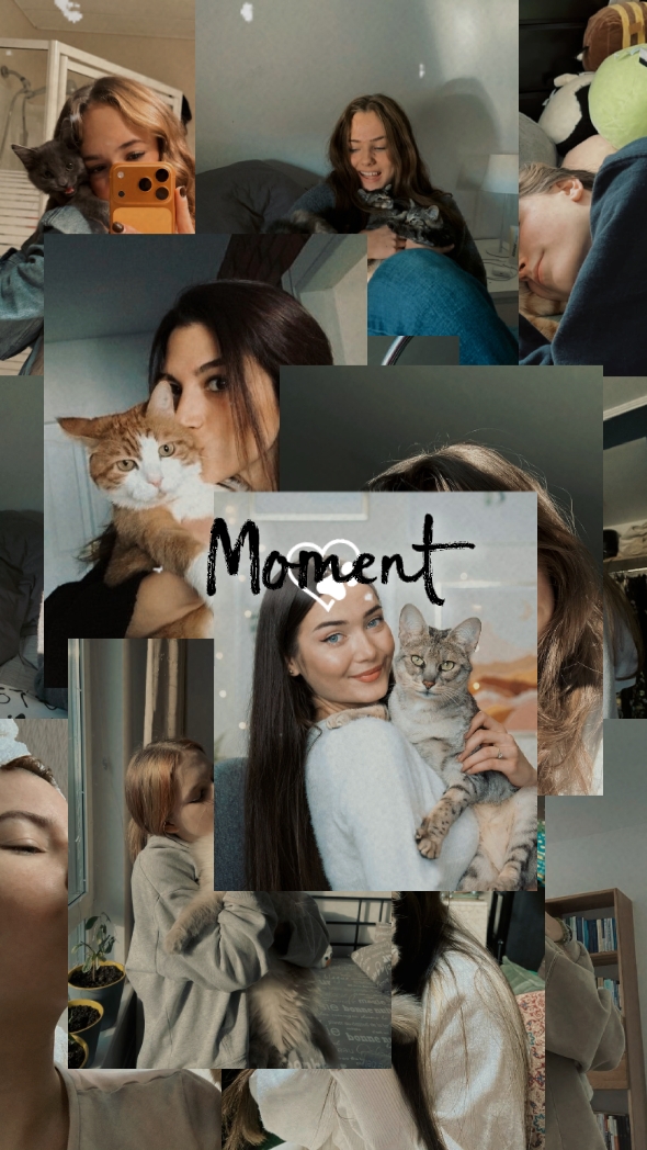 moi et chat 