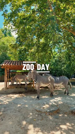 zoo day
