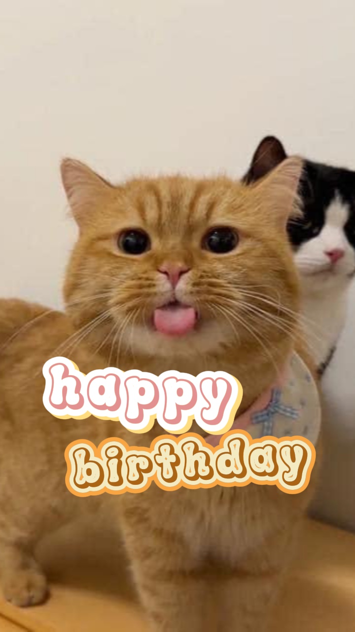 HPBD hài hước