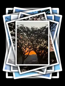 7Pic Clip Aesthetic