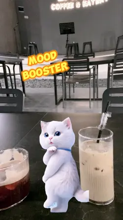 Cute Cat dance viral