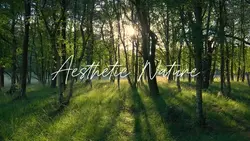 aesthetic nature