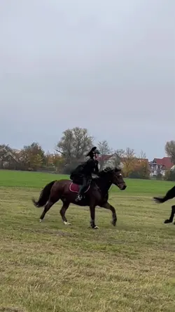 𝐇𝐞𝐱𝐞𝐧𝐣𝐚𝐠𝐝 𝟐𝟒🧙‍♀️🎃👻