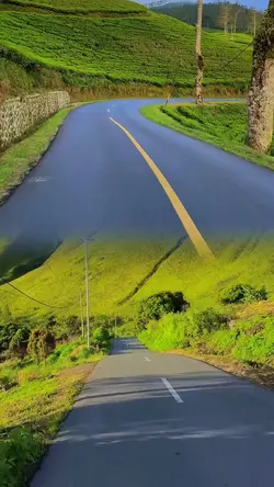 layout road trip