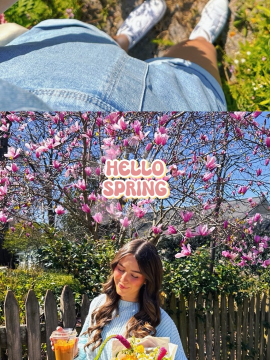 HALLO SPRING 5 FOTO