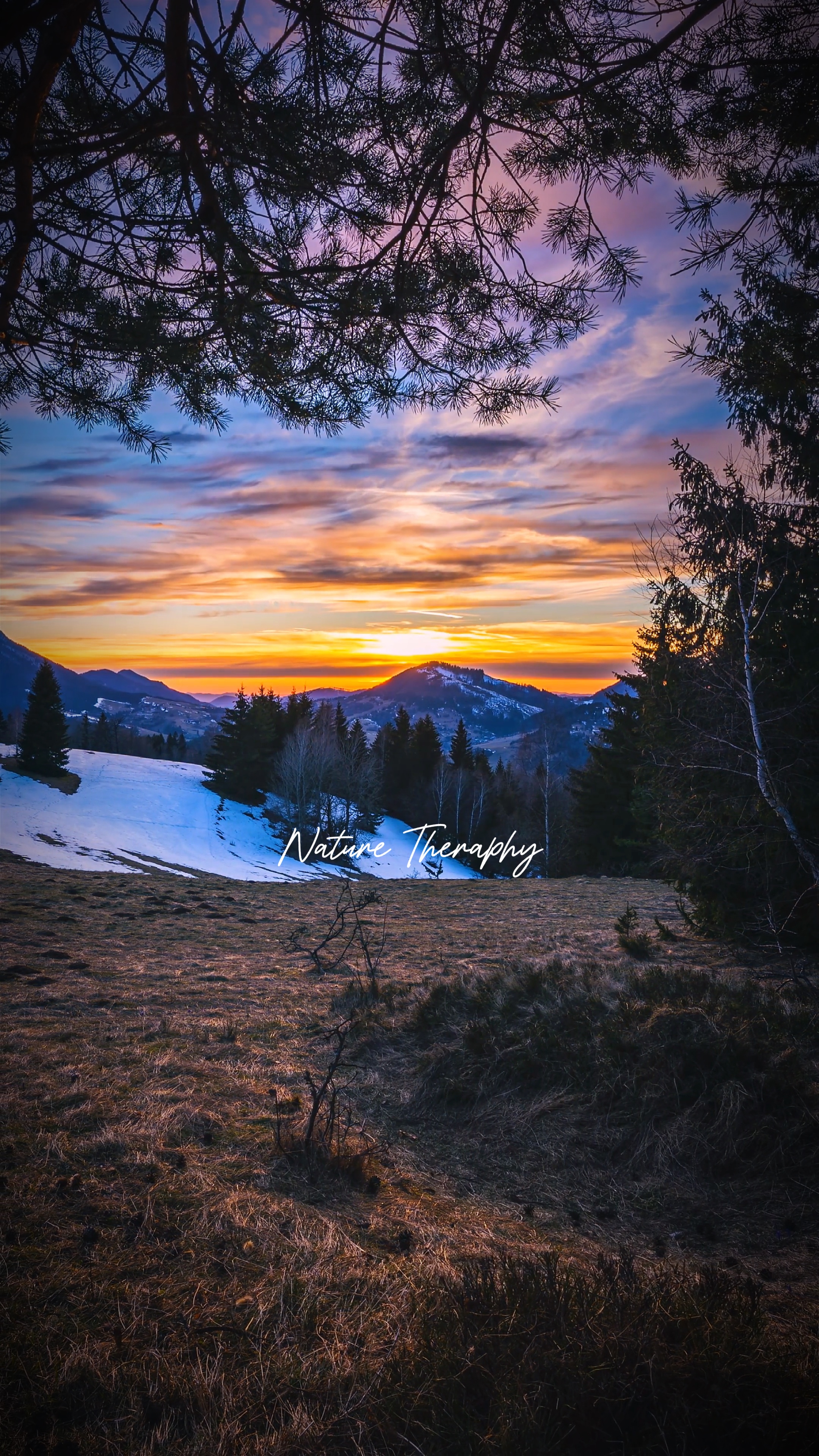 Nature Theraphy