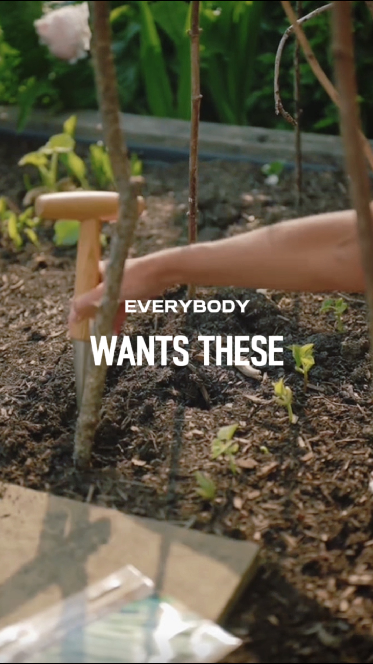 gardening