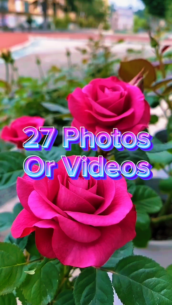27 Video slaytı