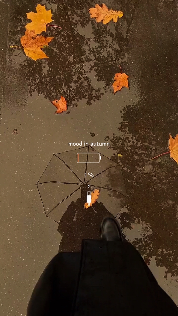 in autumn