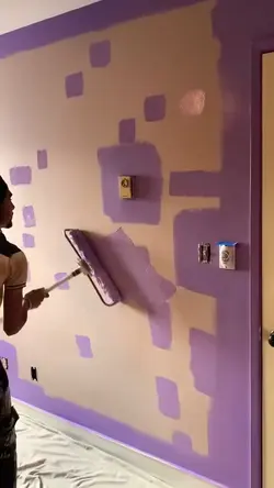 ProfessionalPainter