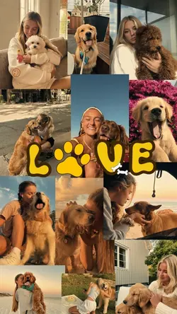 Love my pet dog