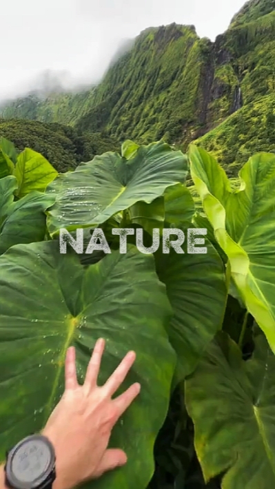 Natureza 4 clipe