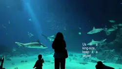 Aesthetic Aquarium