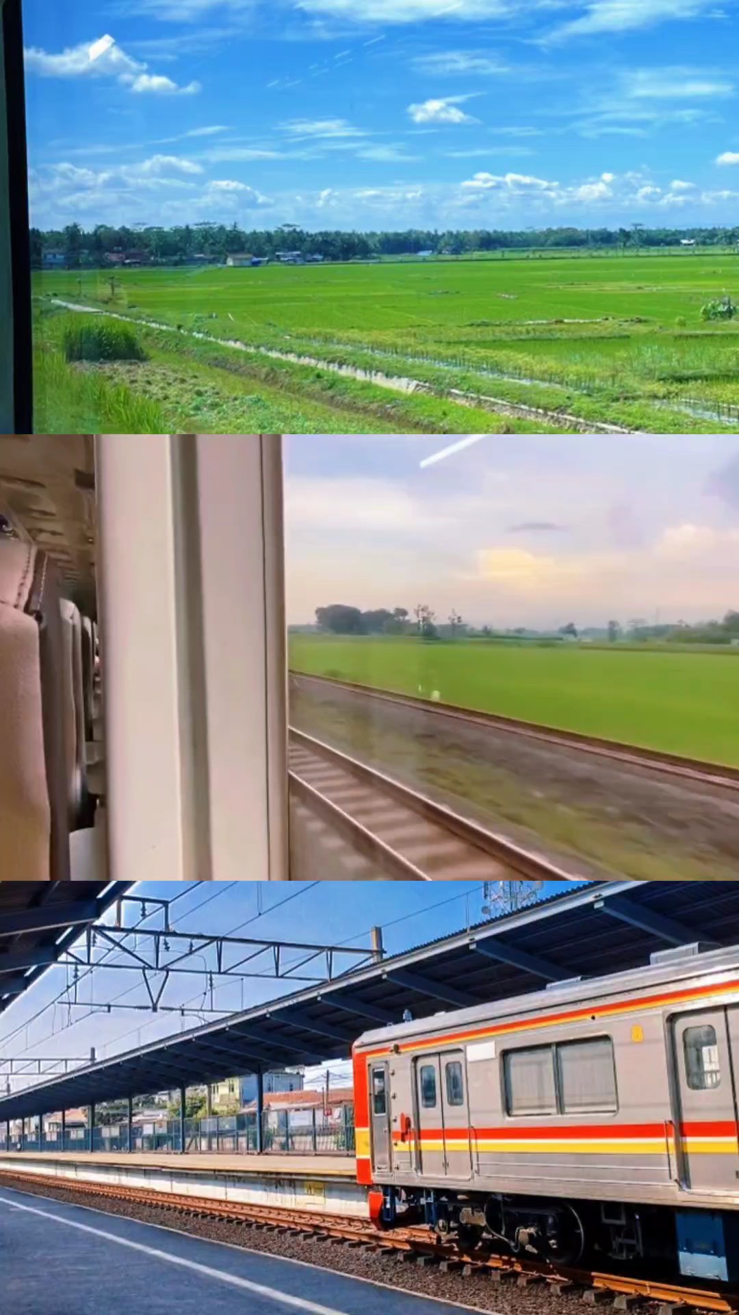 2 photos + 1 vidéo