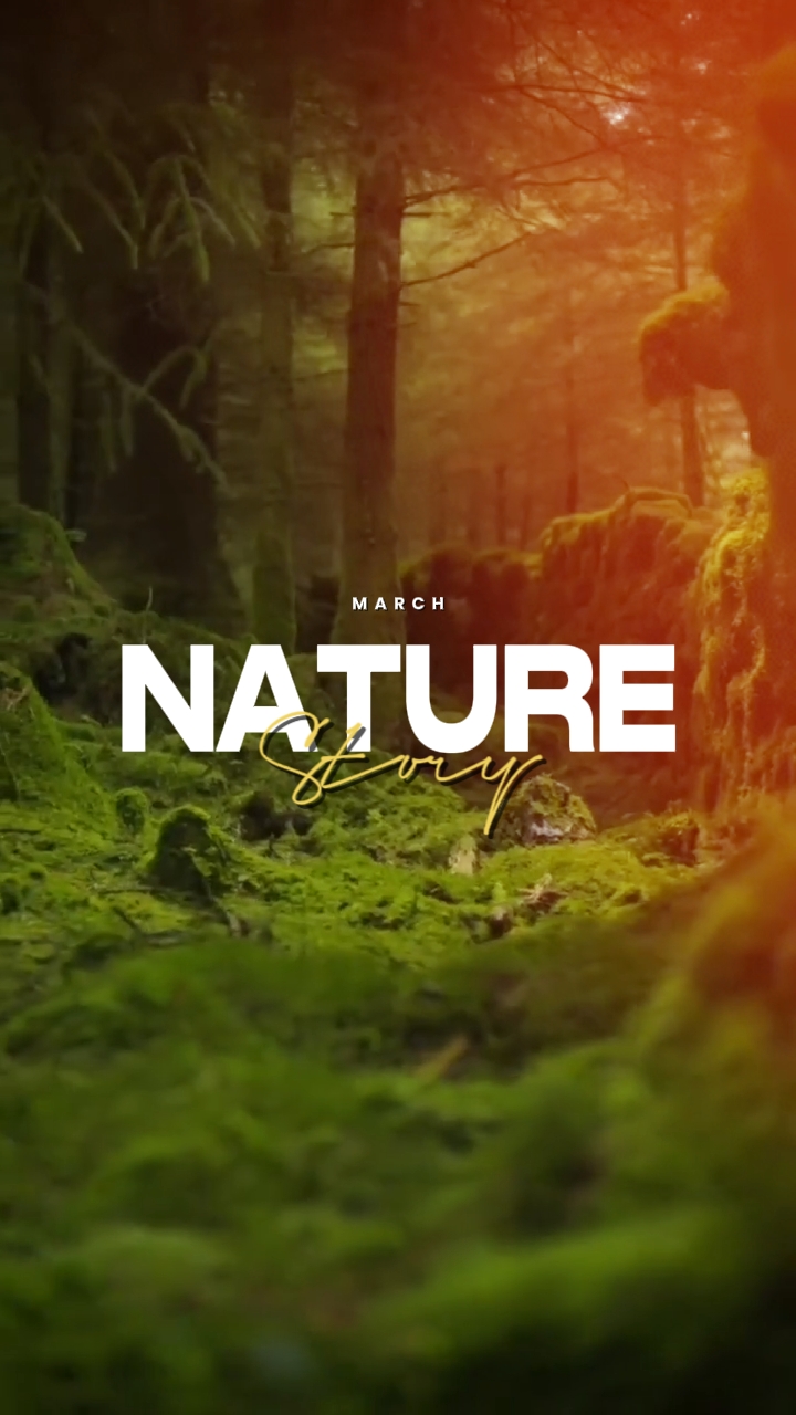 6 clips de naturaleza