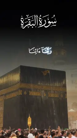 عبد الرحمن مسعد 