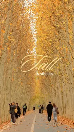 Cozy Fall Aesthetic 