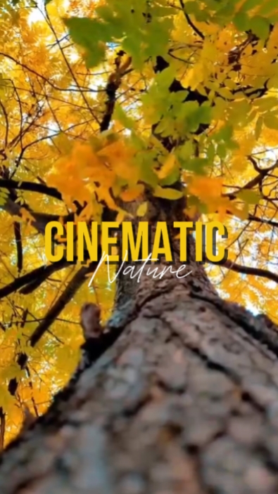 cinematic 