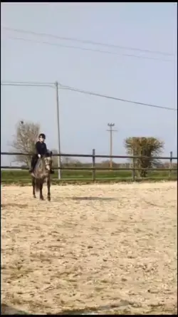 askip...