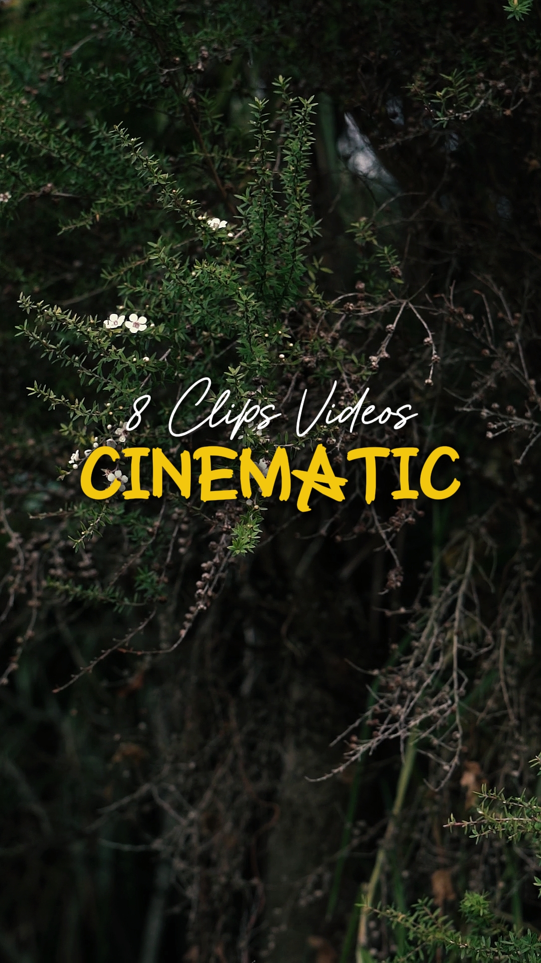 Cinematic 8 Videos