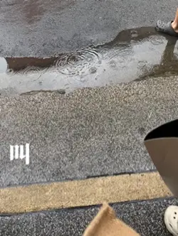 叫哥哥太小了5張