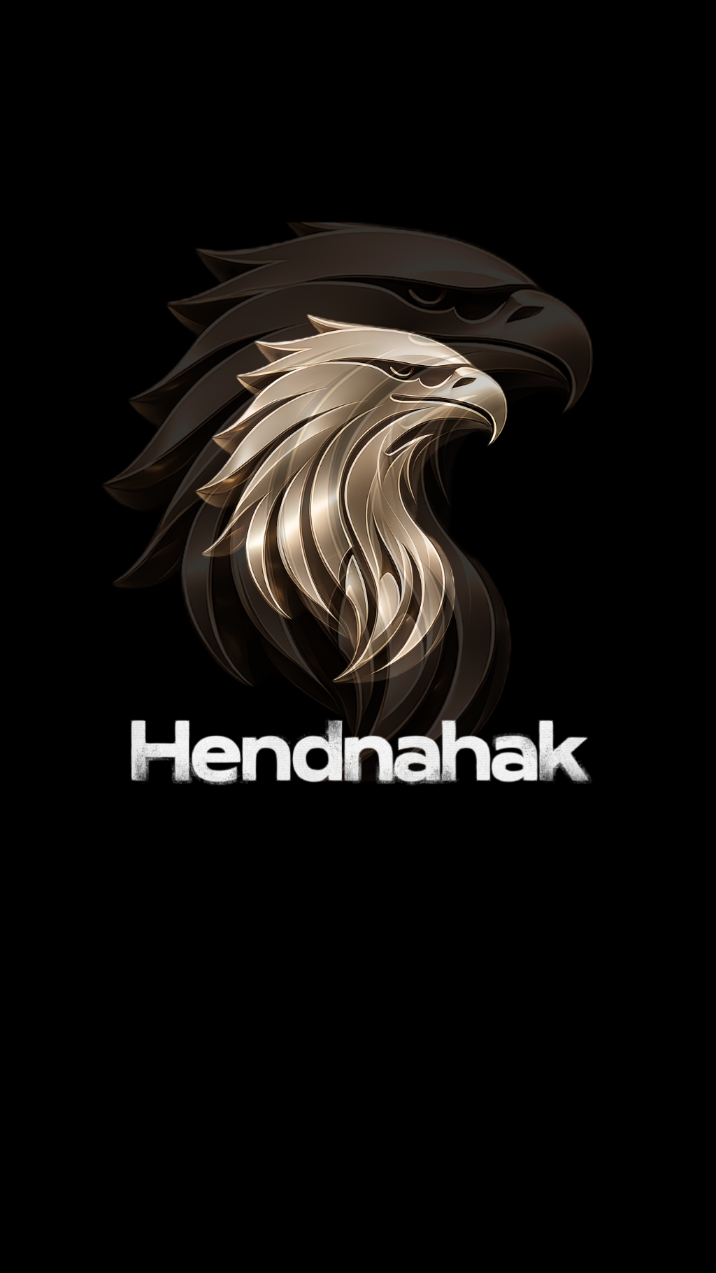OPENING LOGO 