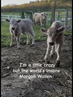 I’m a little crazy 