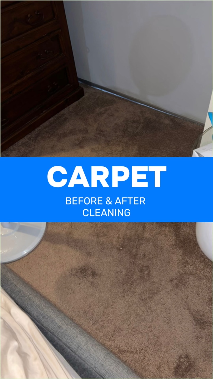 Carpet Cleaning 