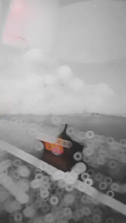 Slow + Motion