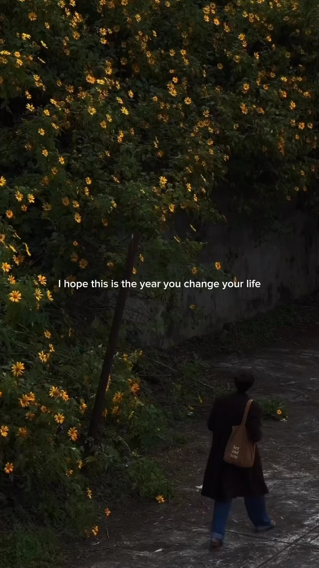 C'est l'année 