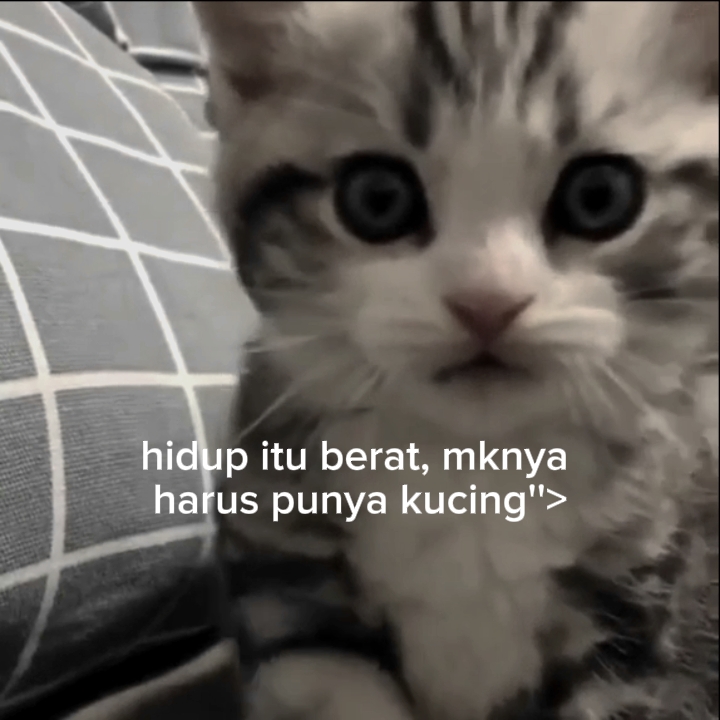 Ini Lucu bngttt