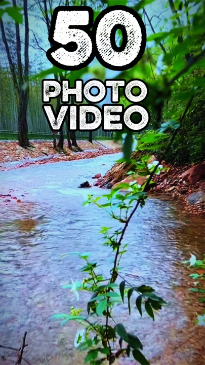 50 clip or photo 