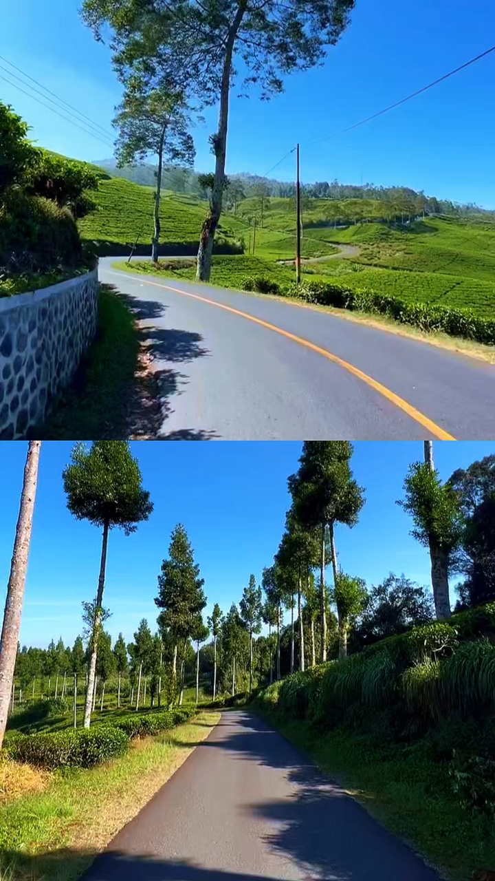 2 collage de videos