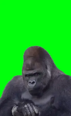 I said I'm alright