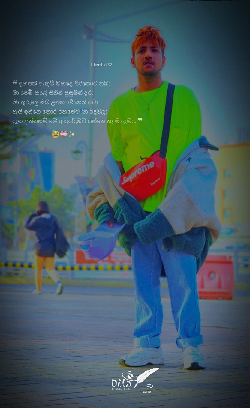Cover Picture
