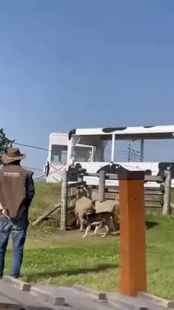 tutti i modelli gratis