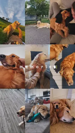 memories