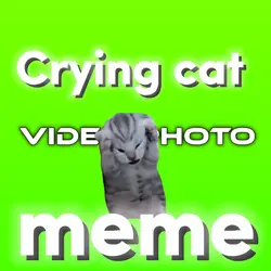 Crying cat meme