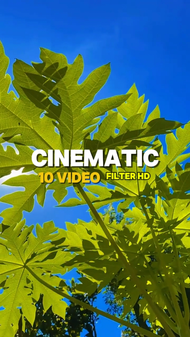10 Clips Video 