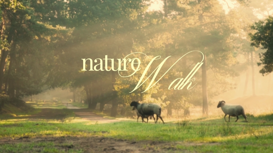 Caminhada pela natureza
