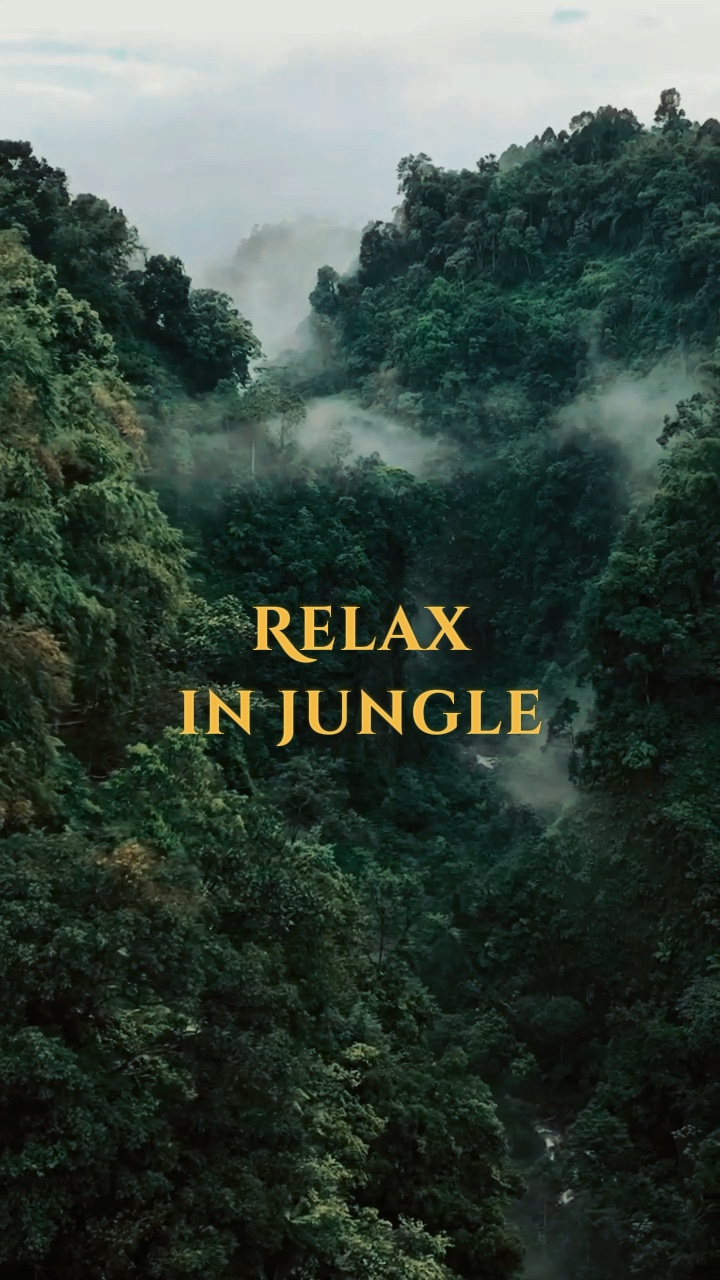 Relaxe na selva