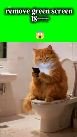 Effect Green Screen