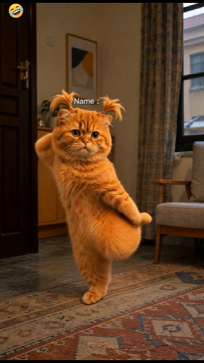 Dancing cat Trend