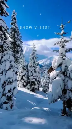 snow vibes