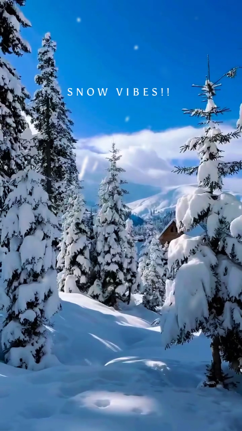 snow vibes