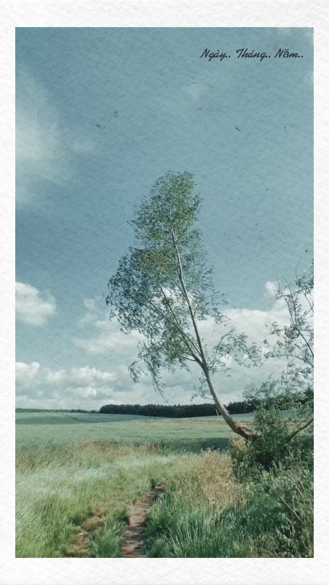 Mu nhnhàng