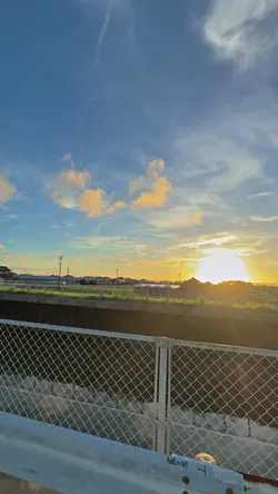 1VID JERNIH